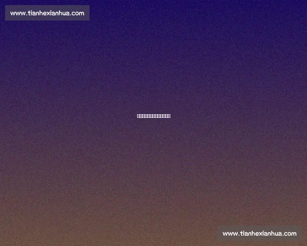 篮球明星家庭生活与个人故事